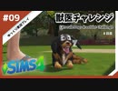 【sims4】獣医チャレンジ  #09【ゆっくり実況プレイ】