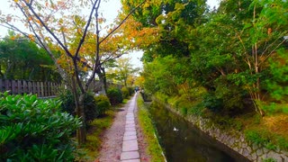 京都散歩 - 哲学の道