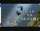 カラス VS カルガモ親子