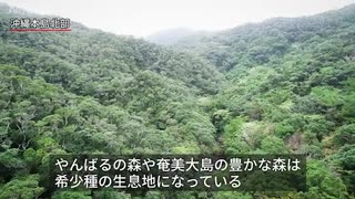 固有種の宝庫　「奄美・沖縄」が世界遺産へ　