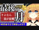 【PSO2】NGS直前の最後の月をこの先生きのるには？【今やれること・控えてるもの】