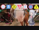 小春六花がウマ娘にドハマりしてUV投稿するなんて　1