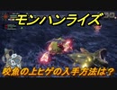 モンハンライズ　咬魚の上ヒゲの入手方法は？　＃４１５【ＭＨＲ】