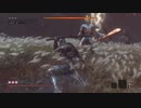 心中の一心を刀のみでノーダメージ撃破【苦難厄憑】