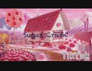 ハイになりたいわ[和訳] Sugar Crash! - Ely Otto