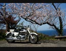お花見ツーリング