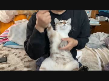 大仏さんちの住人達