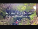 【4K映像】【自然音と尻音】鳥のさえずりと川のせせらぎ  作業 勉強 睡眠 癒し / Nature sounds-Birdsong and water and hitting the bottom.