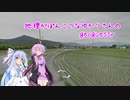 【geoguessr】地理がぽんこつなゆかりさんの geoguessr