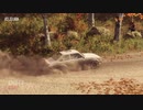 DirtRally2.0のD　Stage2