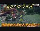 モンハンライズ　泡狐竜の水玉の入手方法は？　＃４３３【ＭＨＲ】