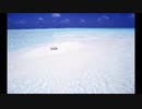 TUBE-定番メドレー-Vol.2