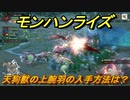 モンハンライズ　天狗獣の上腕羽の入手方法は？　＃４３６【ＭＨＲ】