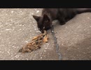 くっさー