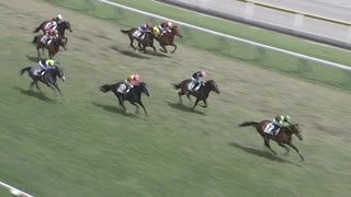 ウシュバテソーロ　新潟・4歳以上1勝クラス　2021年5月8日