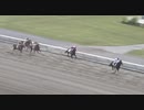 ペプチドナイル　3歳未勝利　2021年5月8日