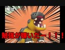 【Newポケモンスナップ】ポケモン写真家を目指す実況【part8】