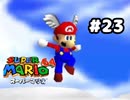 【スーパーマリオ64】地獄の羽マリオ【実況プレイ】#23