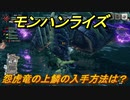 モンハンライズ　怨虎竜の上鱗の入手方法は？　＃４４６【ＭＨＲ】