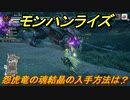 モンハンライズ　怨虎竜の魂結晶の入手方法は？　＃４４７【ＭＨＲ】