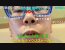 【コメント有】ニンポー 2021年05月12日13時11分 哀しみのカフェ【ニコ生録画】