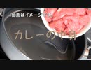「カレーの中身」VOCALOID 初音ミク オリジナル曲