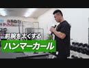 ダンベル・ハンマーカールの正しいやり方 | 太い前腕をつくる重要種目【ビーレジェンド プロテイン】