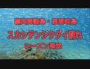 慶良間諸島・座間味島スカシテンジクダイ群れ！