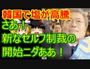 ゆっくり雑談 361回目(2021/5/13) 1989年6月4日は天安門事件の日 済州島四・三事件 保導連盟事件 ライダイハン コピノ コレコレア