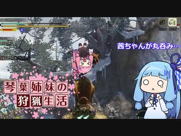 琴葉姉妹の狩猟生活 ～カムラの里～ 6日目