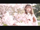 【前ちゃん。】STEP TO YOU　踊ってみた【オリジナル振付】