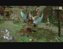 [MHR] 俺の嫁を一人前のハンターにする！～vsビシュテンゴ編～part6
