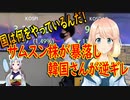 サムスンの株価が暴落し、韓国国民が逆ギレ！【世界の〇〇にゅーす】