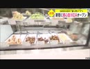 新宿に都心型IKEAオープン　3店目は初の“量り売り”デリ