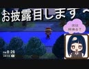 【あつまれ どうぶつの森】　第百三十四幕　お披露目広場作ってみた。これからは此処で家具とか披露したい！！