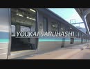 YOUKAI SARUHASHI