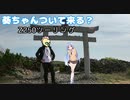 葵ちゃんついて来る？第8話「この〇〇コン」
