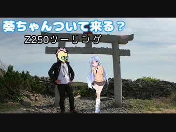 葵ちゃんついて来る？第8話「この〇〇コン」