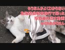 【VOICEROID非車載】もうなんかよくわからない北海道自転車旅行で撮った写真垂れ流す動画withあかりさん