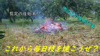 【農業】枝焼き作業をタイムラプスで