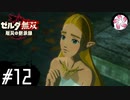【黙示録＃12】凡人が行く黙示録