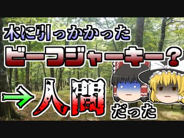 【ゆっくり解説】突如として消息を絶った輸送機･･･二日後に発見された山では、木に引っかかった何かの肉「蛭ヶ岳輸送機墜落」【1950年】