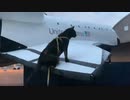 2021/05/13放送【41日目 北海道 道の駅アップルよいち あずにゃんぽ（猫散歩）】北海道全市町村制覇するまで帰れまてん！　猫と車中泊の旅　日本縦断【旅猫あずき～保護猫から旅猫へ～】