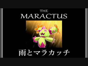 【ポケモン剣盾】マラカッチガチンコランク #8【あまごいマラカッチ】