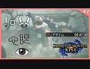 【switch】鍵は心眼！双剣＆片手剣でオオナズチ討伐前でも出来る対策動画#2【MHRise】