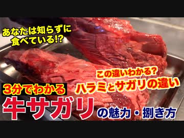 【この違いわかる？】牛サガリの魅力と捌き方