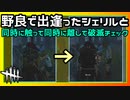 【DbD】野良の人との息の合った破滅チェック #36【Dead by Daylight:サバイバー】