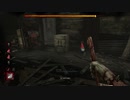 【DBD】噂の魔除け見つけたので【ノーム人形】