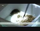 デビルゲイツ・遺伝子組み換えの蚊