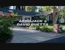 Afrojack & David Guetta - Hero